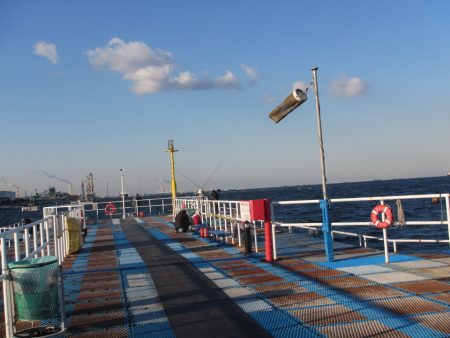 オリジナルメーカー海づり公園(市原市海づり施設) 釣果