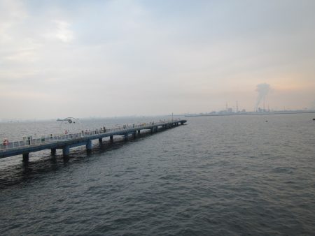 オリジナルメーカー海づり公園(市原市海づり施設) 釣果