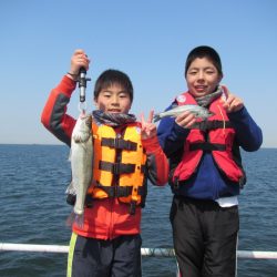 オリジナルメーカー海づり公園(市原市海づり施設) 釣果