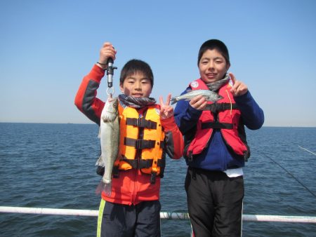 オリジナルメーカー海づり公園(市原市海づり施設) 釣果