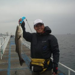 オリジナルメーカー海づり公園(市原市海づり施設) 釣果