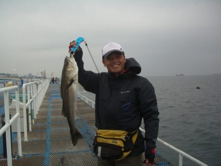 オリジナルメーカー海づり公園(市原市海づり施設) 釣果