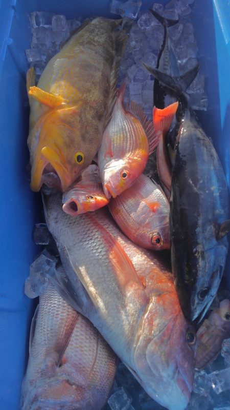 遊漁船 新鋭丸 釣果