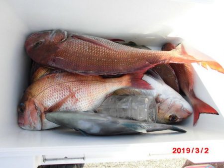 大進丸（新潟） 釣果