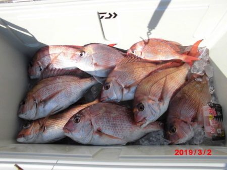 大進丸(新潟) 釣果