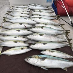 寿裕 (YOSHIHIRO) 釣果