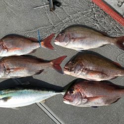 へいみつ丸 釣果