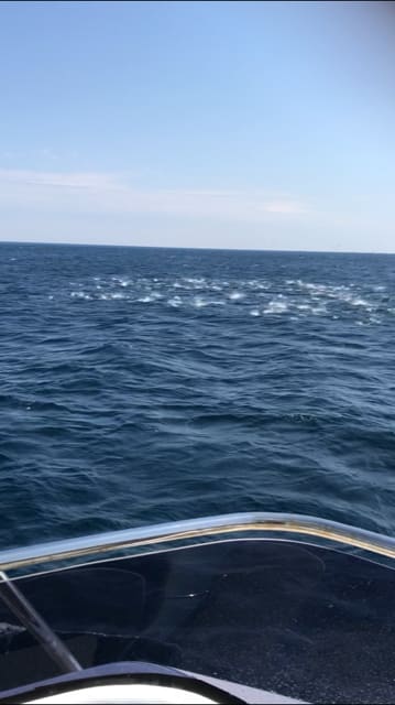 へいみつ丸 釣果