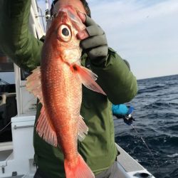 へいみつ丸 釣果