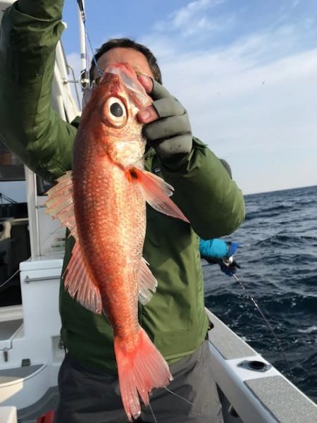へいみつ丸 釣果