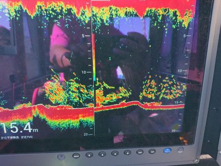 深川 吉野屋 釣果