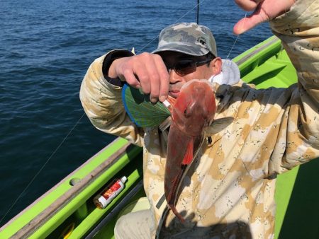 深川 吉野屋 釣果