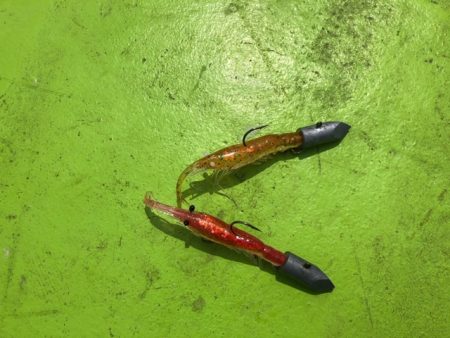 深川 吉野屋 釣果