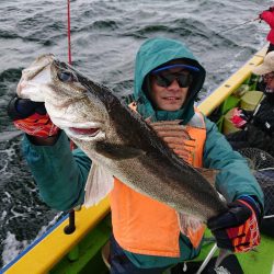 深川 吉野屋 釣果
