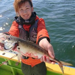 深川 吉野屋 釣果