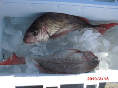 大進丸(新潟) 釣果