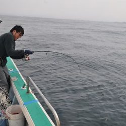 八海丸 釣果