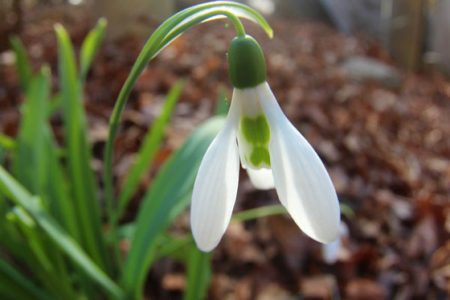 小菅トラウトガーデン 釣果