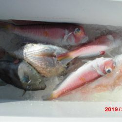 大進丸(新潟) 釣果