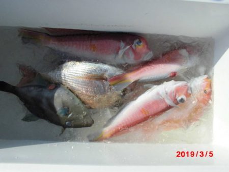 大進丸（新潟） 釣果