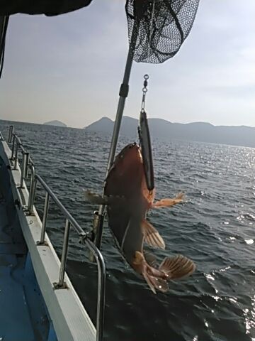 フィッシングガイド りょう 釣果