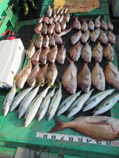 真祐丸 （しんゆうまる） 釣果