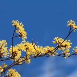 小菅トラウトガーデン 釣果