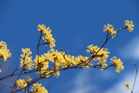 小菅トラウトガーデン 釣果