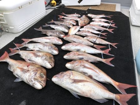 幸風（さちかぜ） 釣果