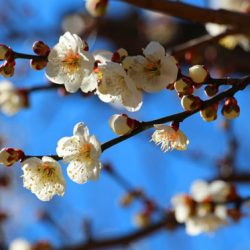 小菅トラウトガーデン 釣果