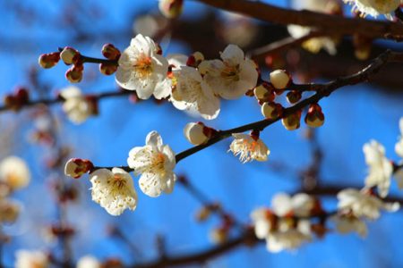 小菅トラウトガーデン 釣果