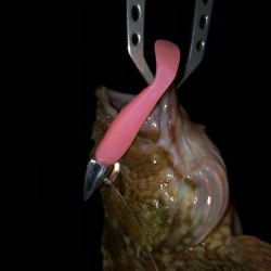 二見ガシリング2