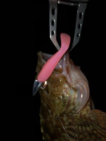 二見ガシリング2