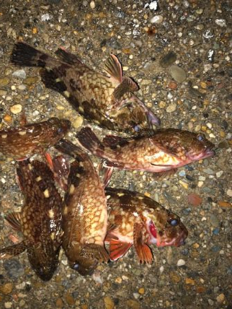 二見ガシリング2