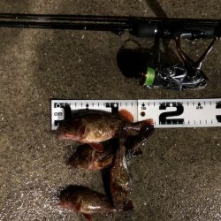 神戸ガシリング1