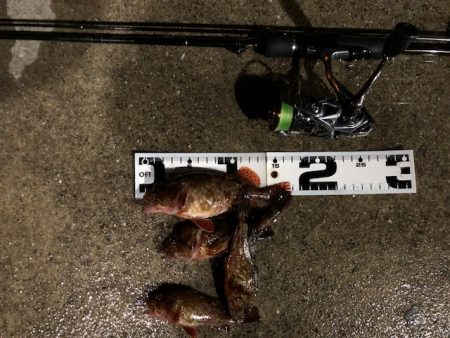 神戸ガシリング1