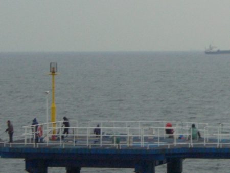 オリジナルメーカー海づり公園(市原市海づり施設) 釣果