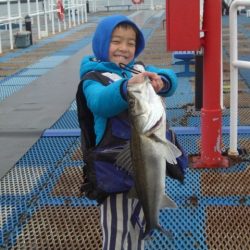 オリジナルメーカー海づり公園(市原市海づり施設) 釣果