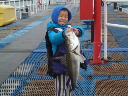 オリジナルメーカー海づり公園(市原市海づり施設) 釣果