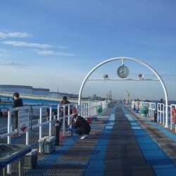 オリジナルメーカー海づり公園(市原市海づり施設) 釣果