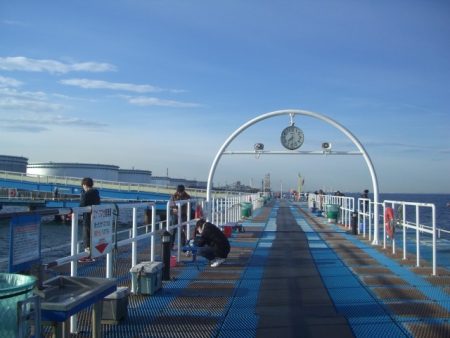 オリジナルメーカー海づり公園(市原市海づり施設) 釣果