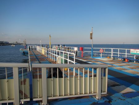 オリジナルメーカー海づり公園(市原市海づり施設) 釣果