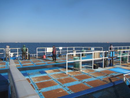 オリジナルメーカー海づり公園(市原市海づり施設) 釣果
