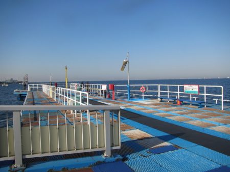 オリジナルメーカー海づり公園(市原市海づり施設) 釣果