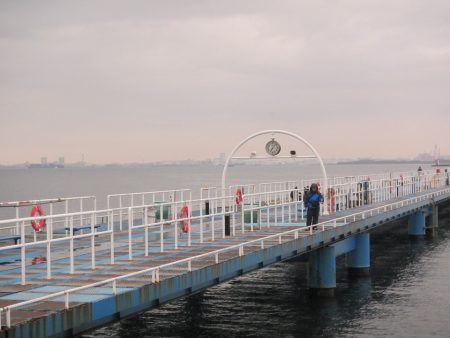 オリジナルメーカー海づり公園(市原市海づり施設) 釣果