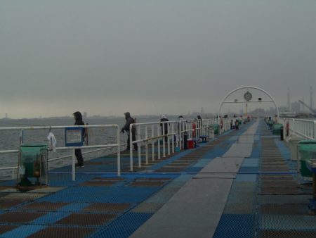 オリジナルメーカー海づり公園(市原市海づり施設) 釣果