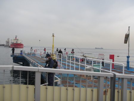 オリジナルメーカー海づり公園(市原市海づり施設) 釣果