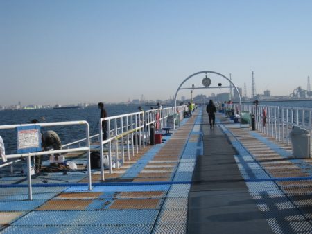 オリジナルメーカー海づり公園(市原市海づり施設) 釣果