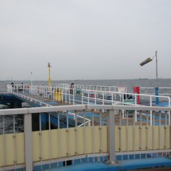 オリジナルメーカー海づり公園(市原市海づり施設) 釣果