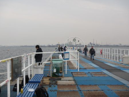 オリジナルメーカー海づり公園(市原市海づり施設) 釣果